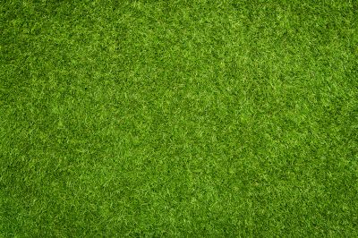 Artificial Lawn Installation