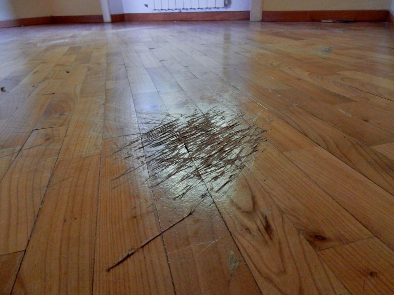 Bare Spot Repair
