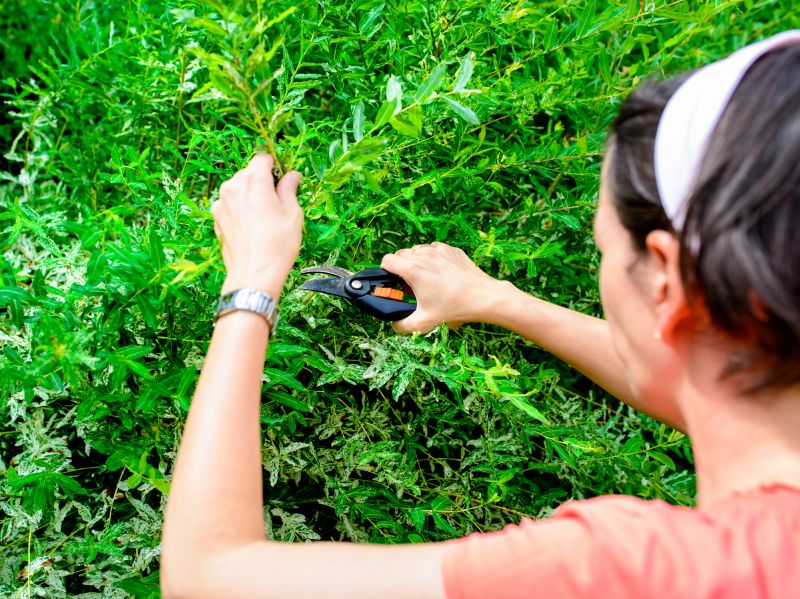 Bush Replacement