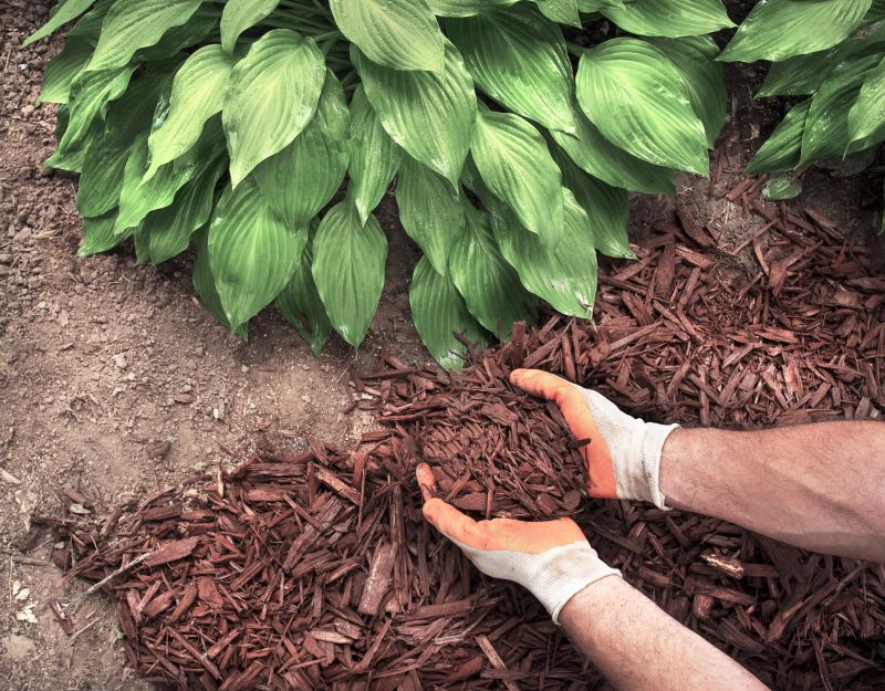 Cedar Mulch Spreading