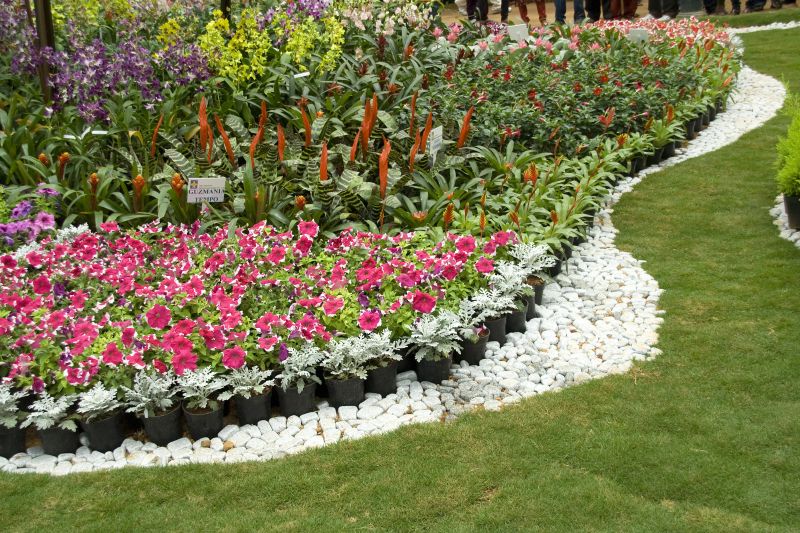 Curb Appeal Landscaping