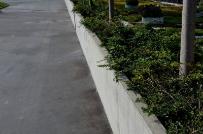 Curbing Service