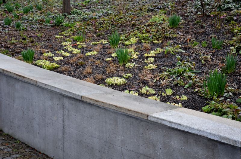 Erosion Control Installation