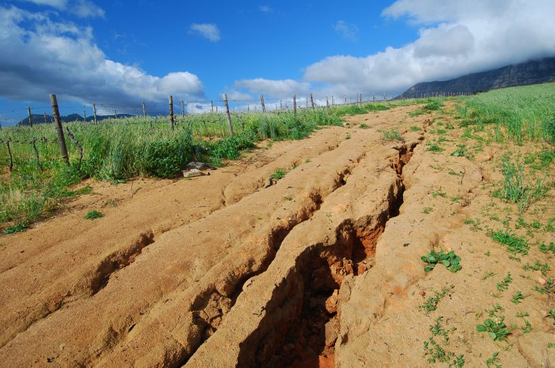 Erosion Control Installation