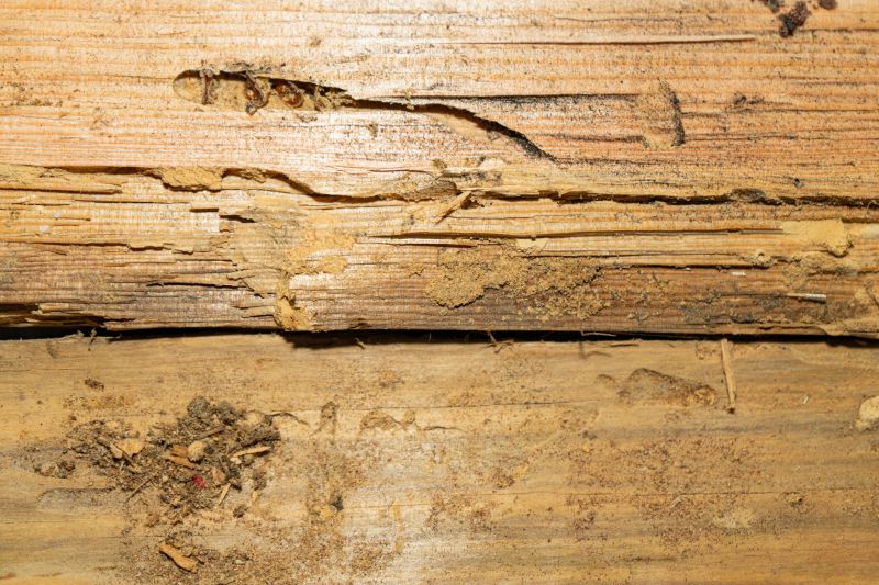 Erosion Damage Repair