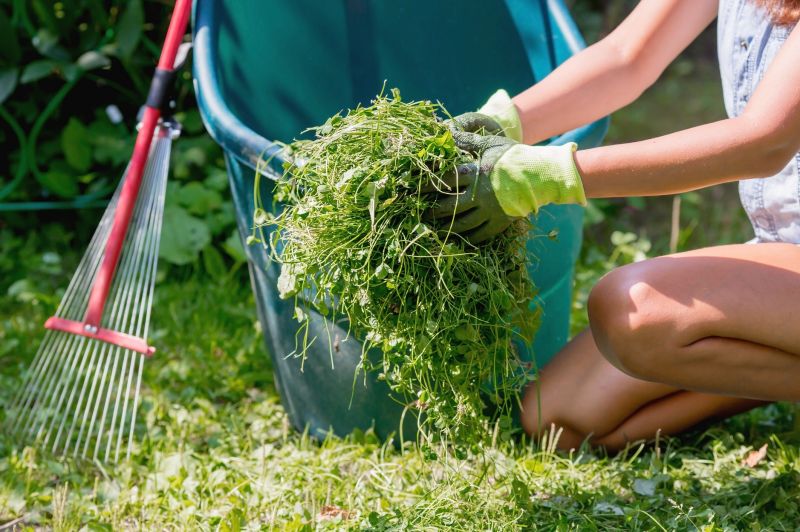 Flower Bed Cleanup Service