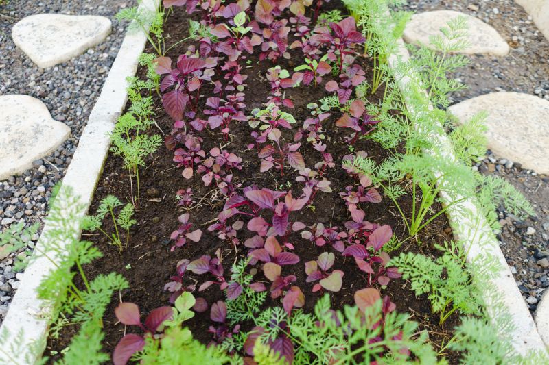 Flowerbed Curbing Installation