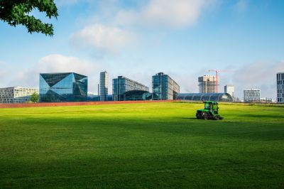 Commercial Garden Maintenance detail