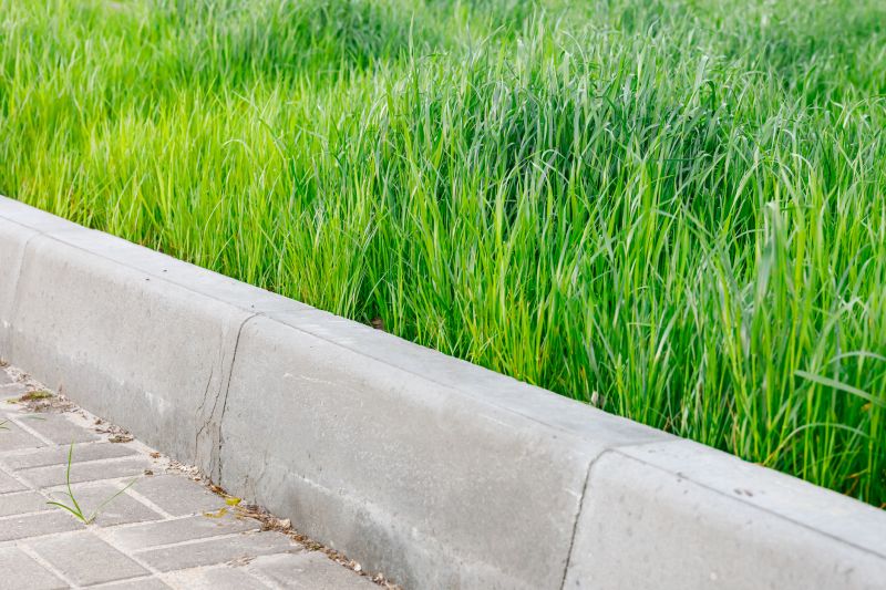 Curb Appeal Landscaping detail