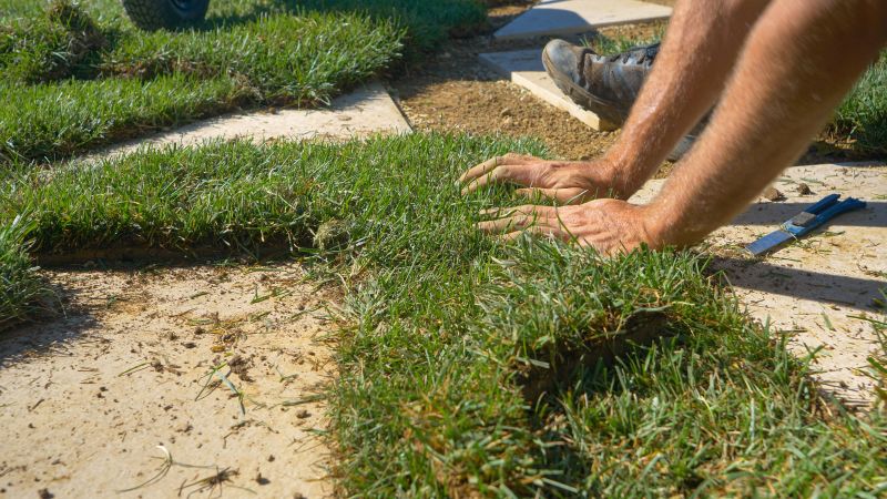 Grass Repair detail