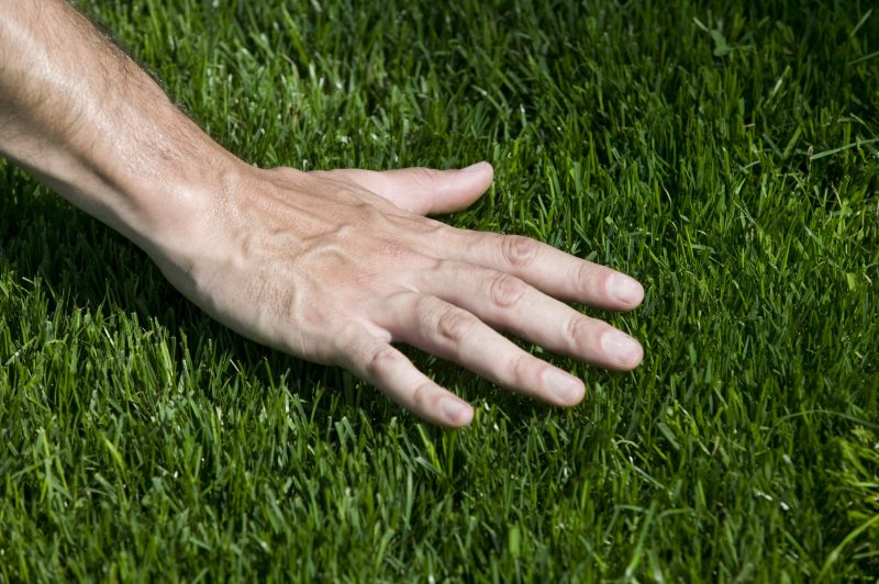 Grass Repair detail