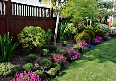 Landscape Mulching detail