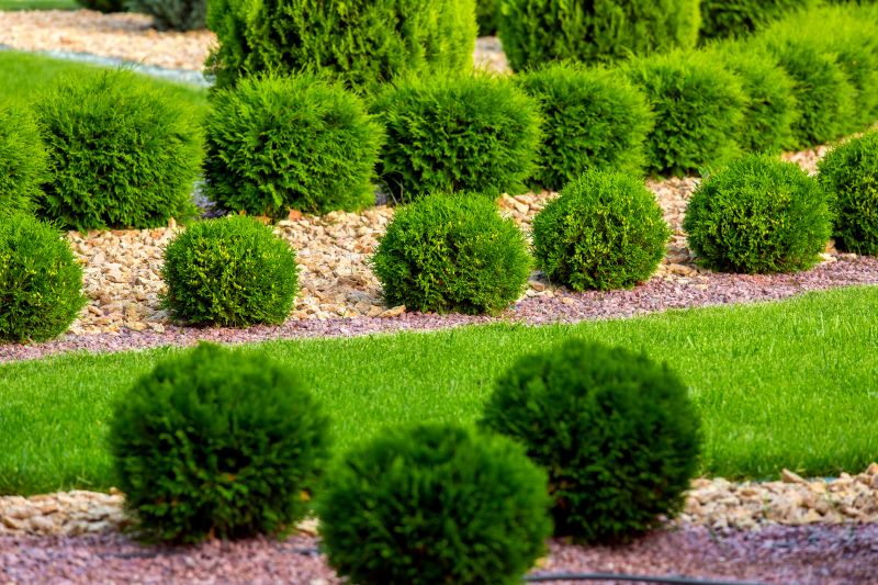 Landscaping Installation detail