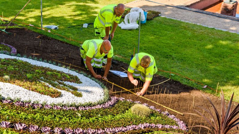 Landscaping Replacement detail