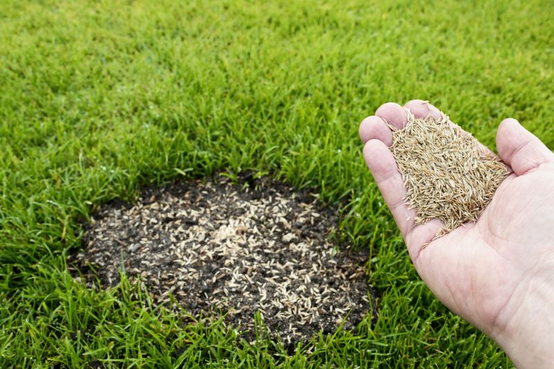 Lawn Erosion Repair detail