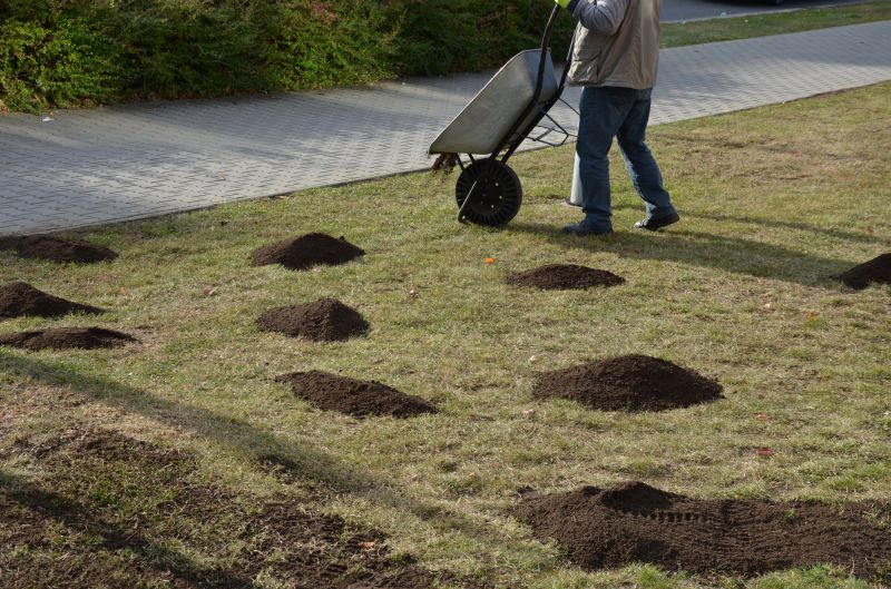 Lawn Erosion Repair detail