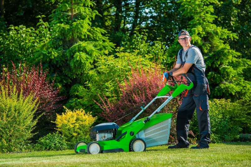 Lawn Landscaping detail