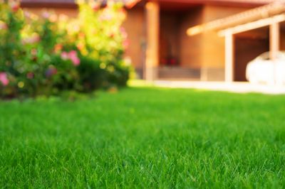 Residential Landscape Service detail