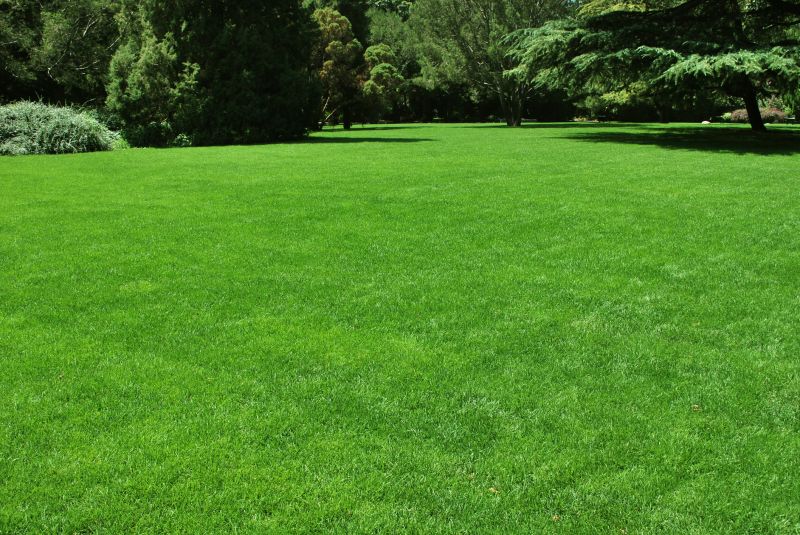 Residential Landscaping detail