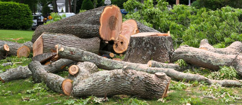 Tree Installation Service detail