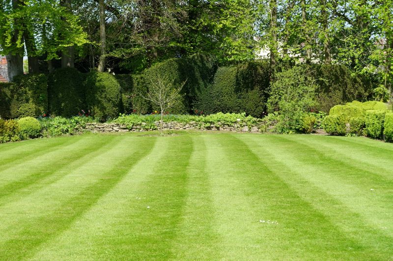 Yard Landscaping Service detail