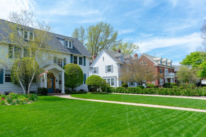Yard Landscaping Service detail
