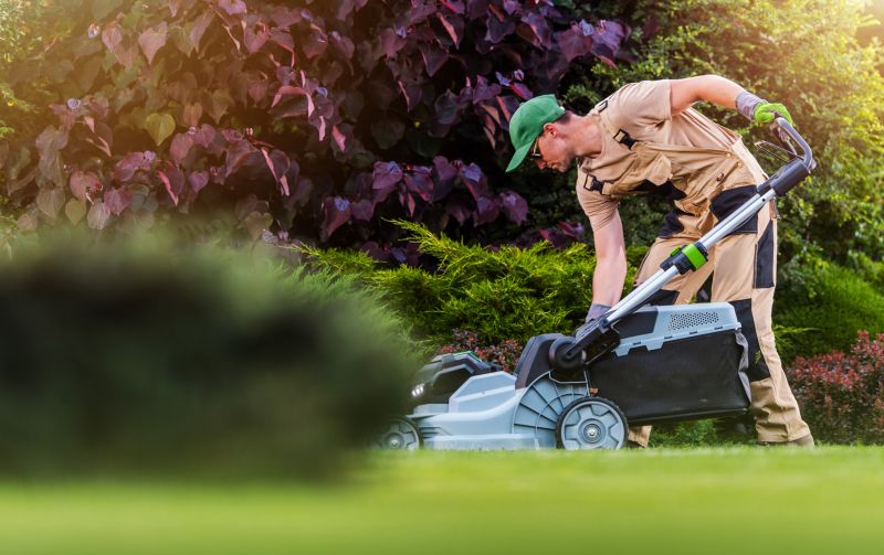Yard Landscaping Service detail