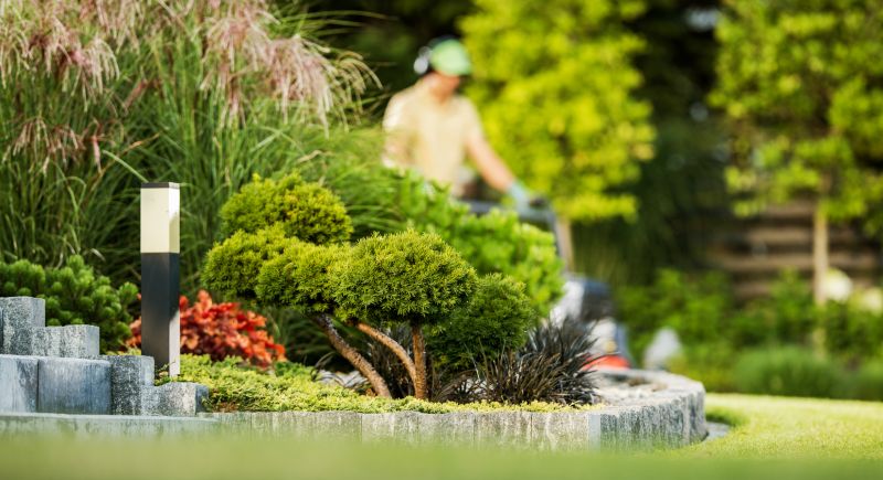 Yard Landscaping Service detail