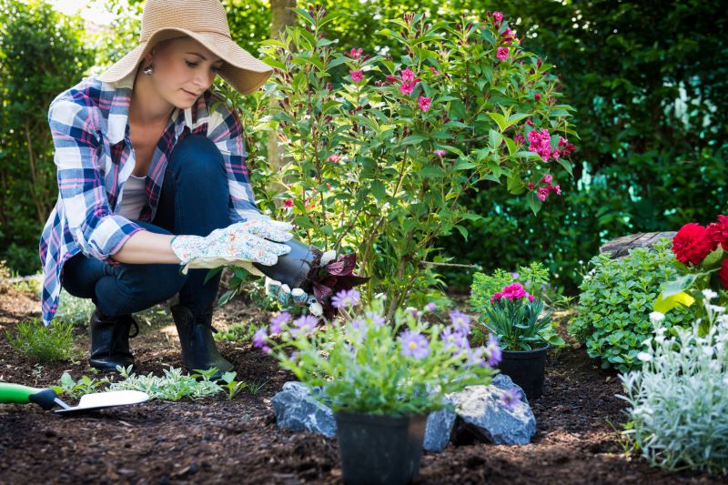 Garden Care Service