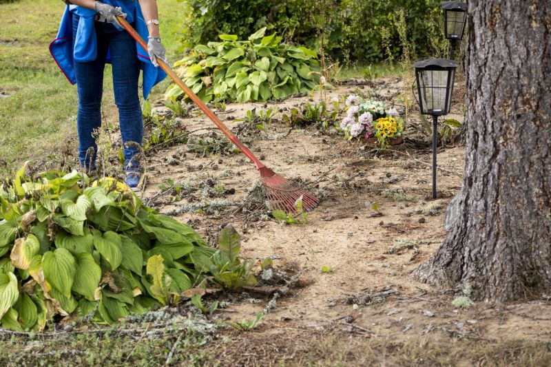 Garden Care Service