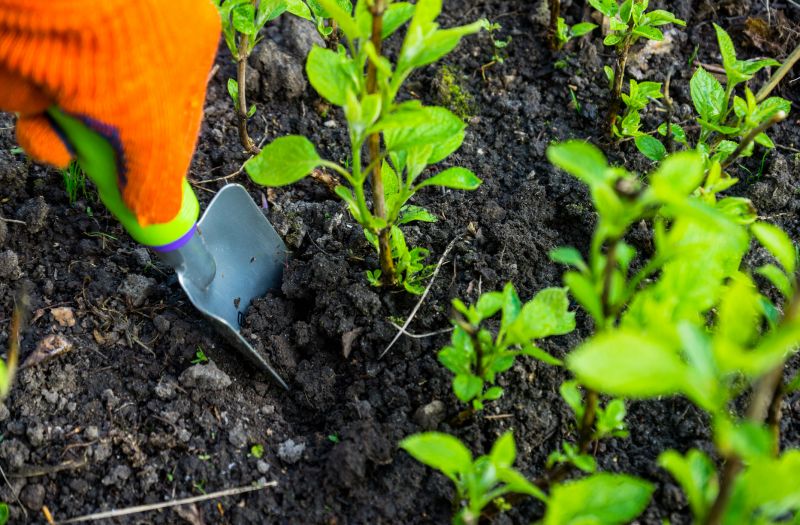 Garden Digging