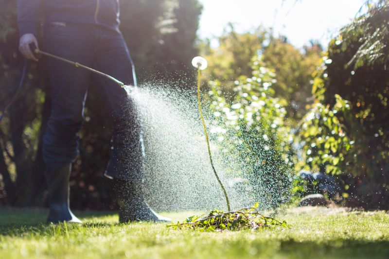 Garden Handyman Service