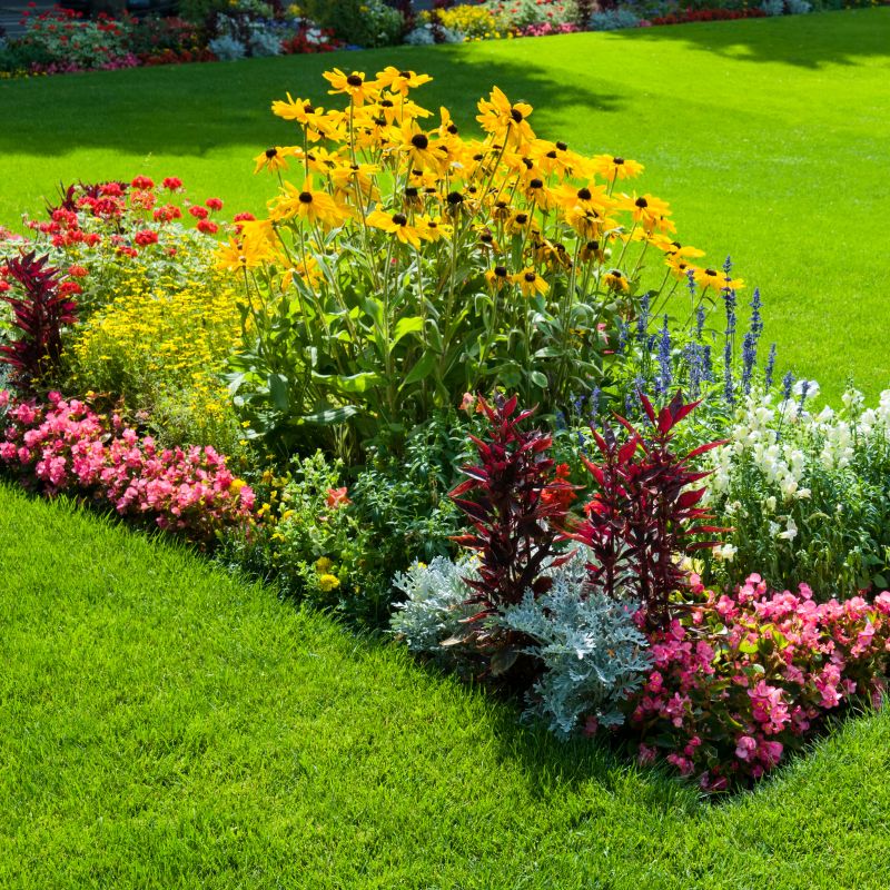 Garden Mulch Installation