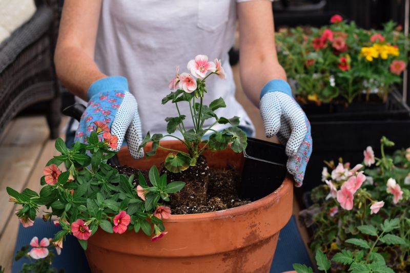 Garden Planting Service