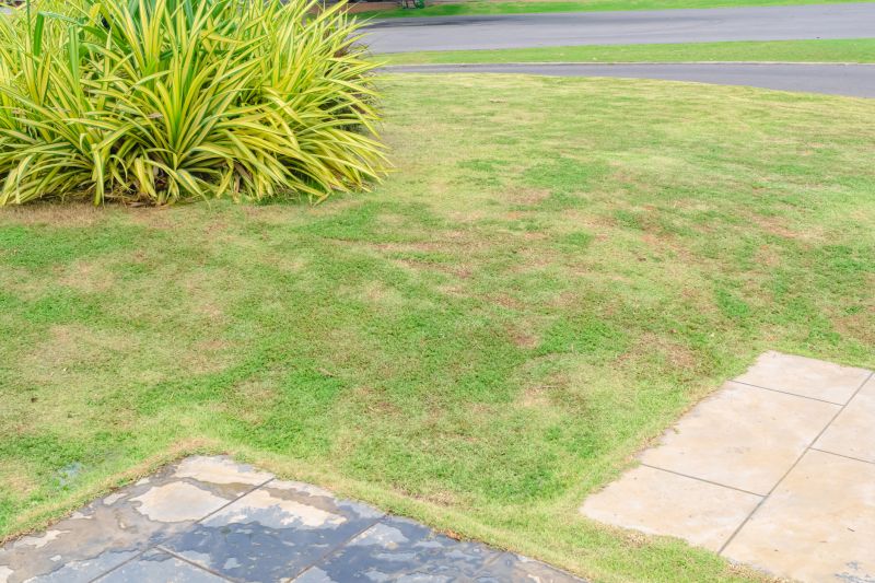 Grass Repair