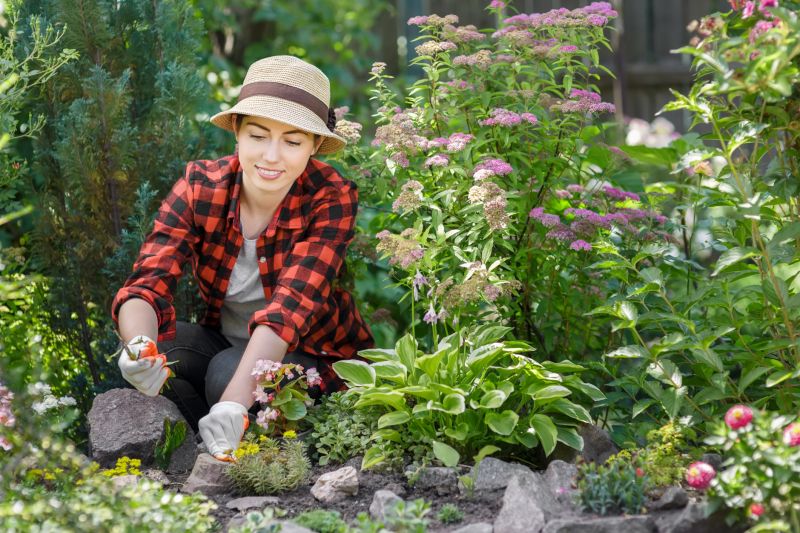 Ground Cover Removal