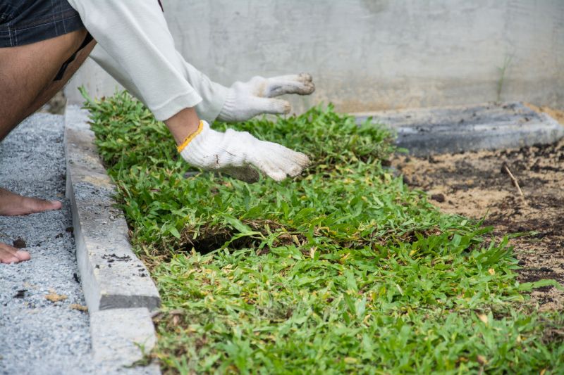 Ground Cover Removal