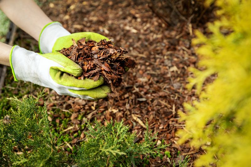 Hardwood Mulch Delivery