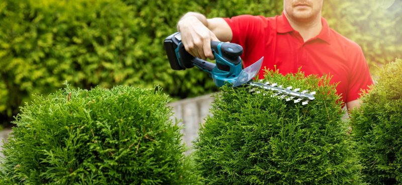 Hedge Landscaping
