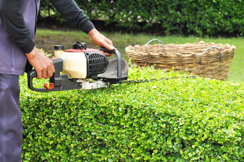 Hedge Replacement