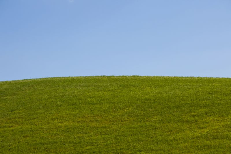 Hill Landscaping