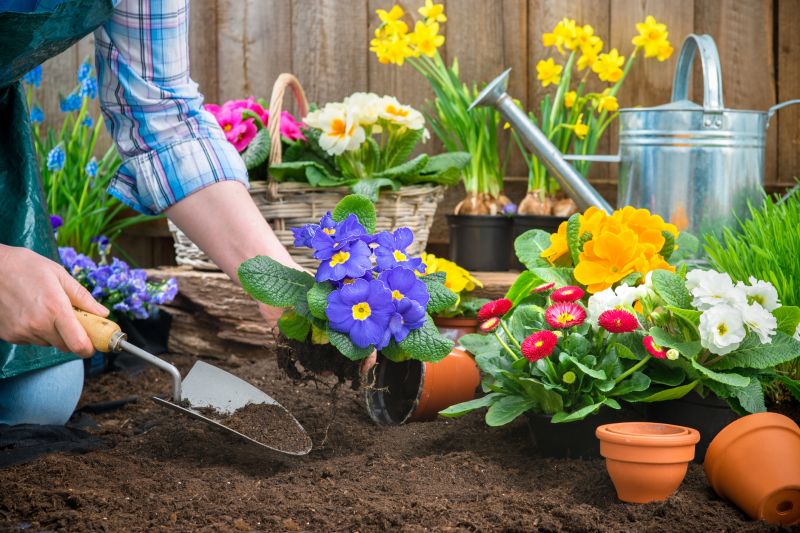 Home Gardening Service