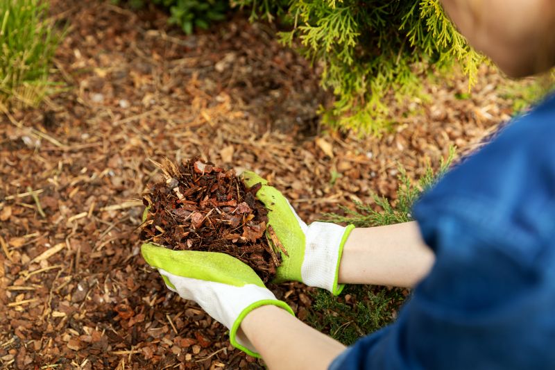 Hotel Mulching