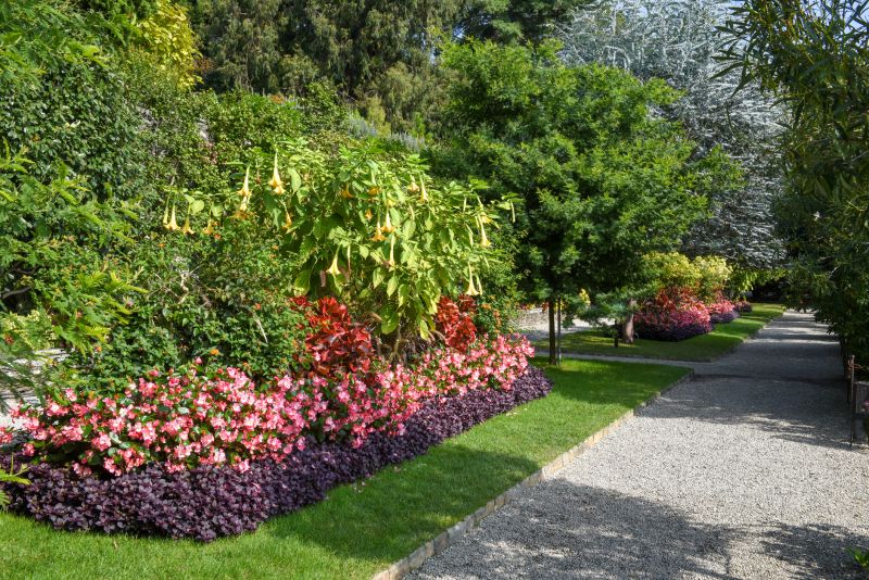 Lush Plant Arrangements