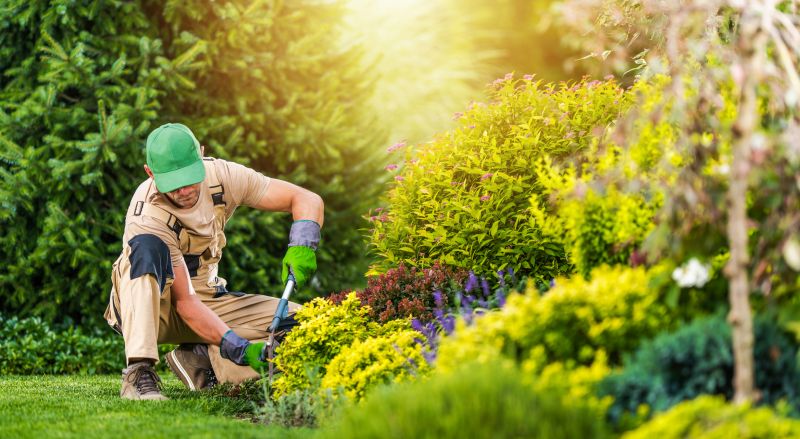 Summer Garden Care