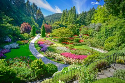 Landscaping with Native Plants