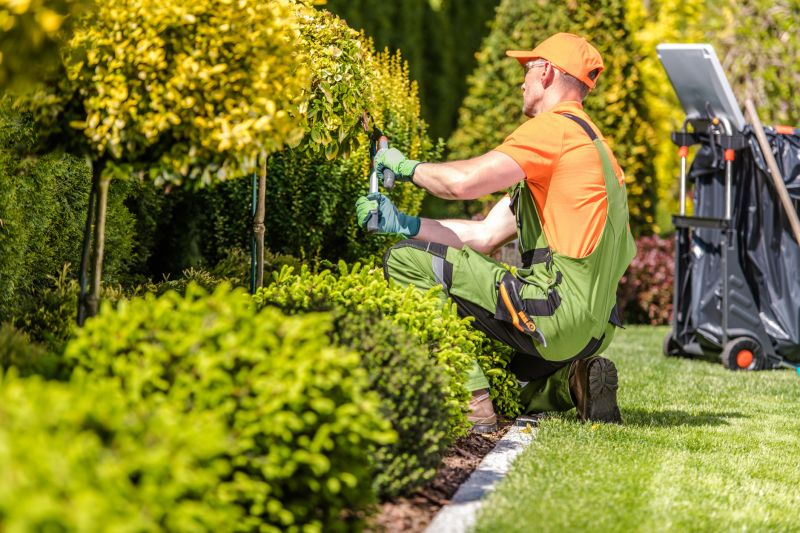 Lawn and Garden Care