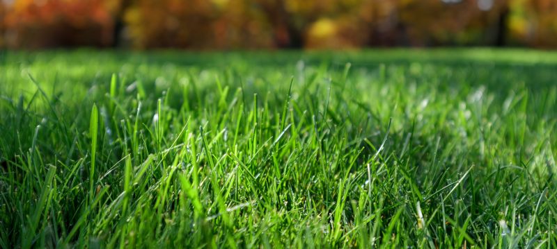 Seasonal Landscaping