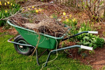 Landscape Maintenance