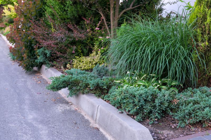 Lawn Curb Installation